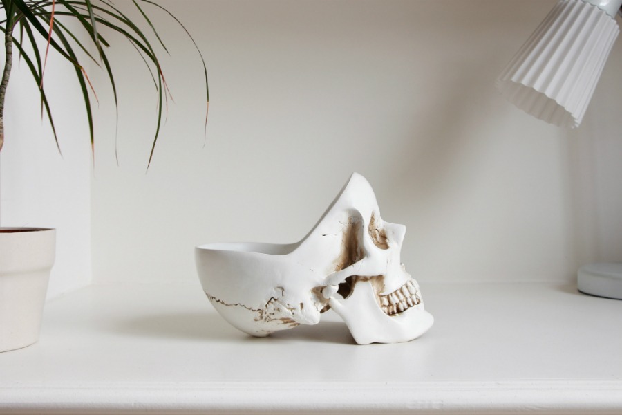 фото Органайзер для мелочей skull, белый