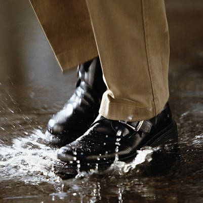 фото Сушилка для обуви (boot dryer)