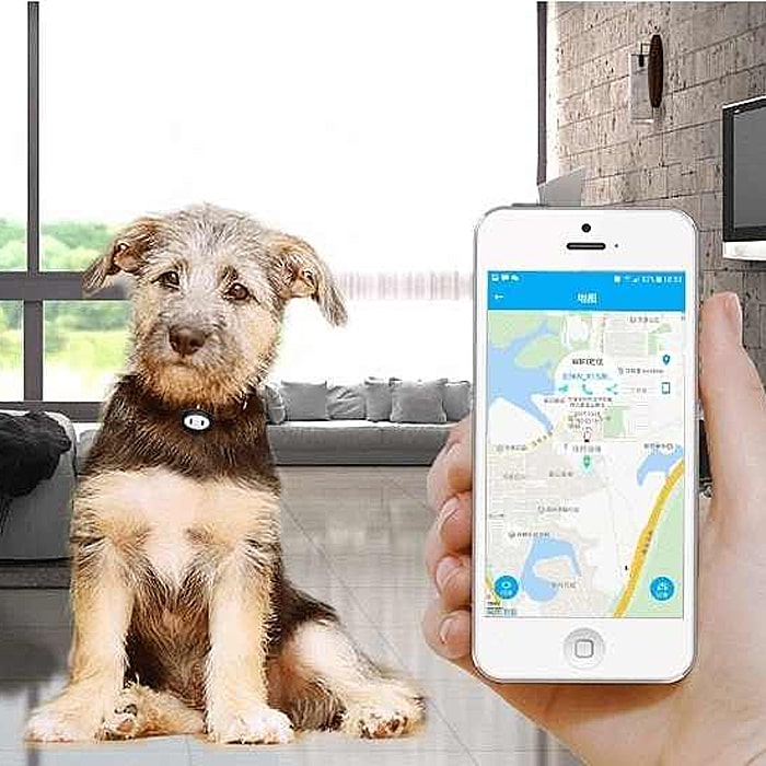 GPS Pet GPS D79