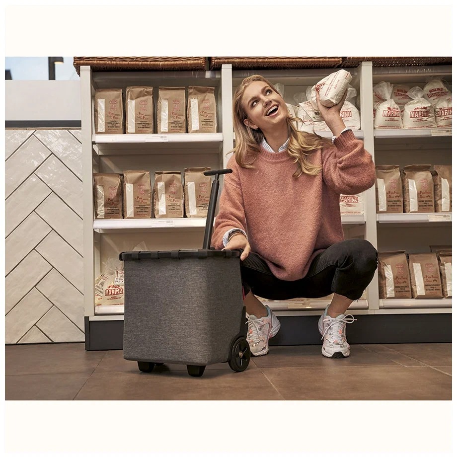 фото Сумка-тележка carrycruiser twist silver