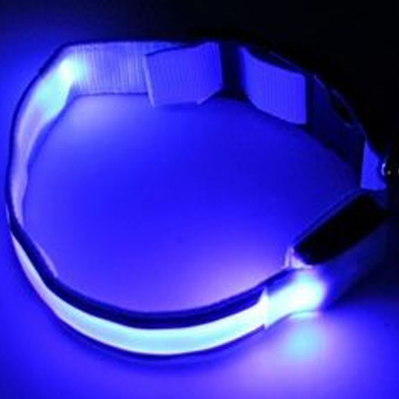 Светящийся ошейник со светоотражателем, 38-40 см, Голубой от MELEON