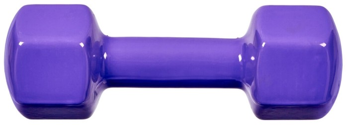 Гантель неразборная BRADEX SF 0537 4 кг фиолетовый от MELEON