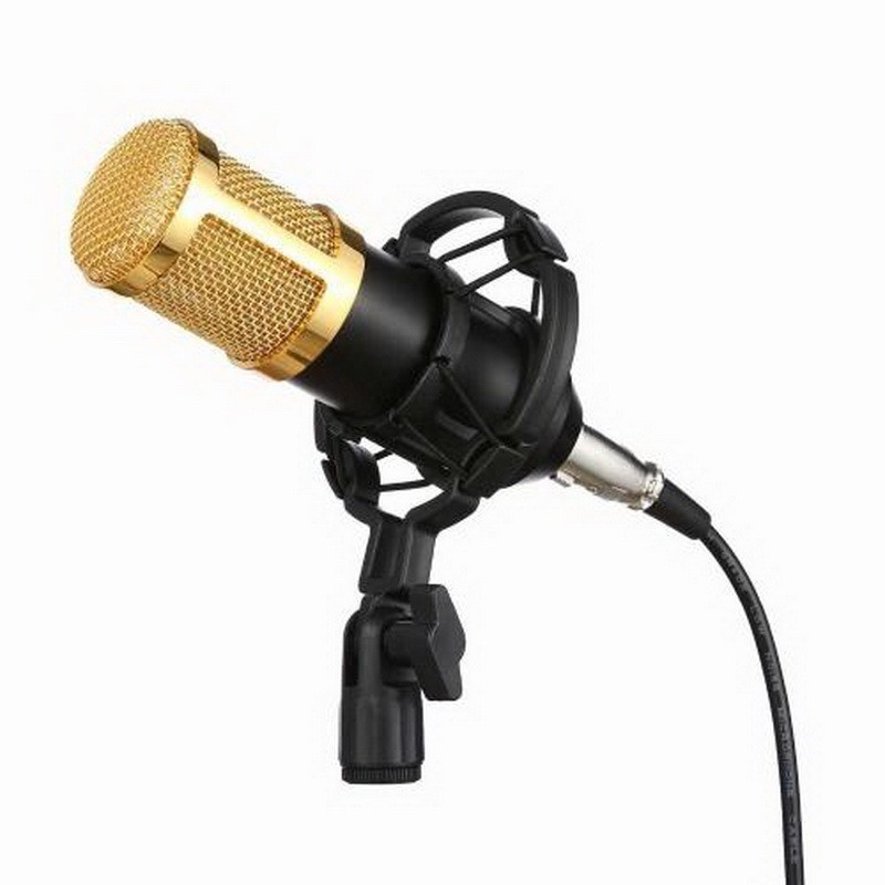   Professional Condenser Microphone BM-800, 