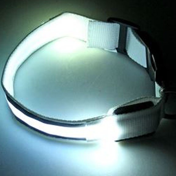 Светящийся ошейник со светоотражателем, 45-50 см, Белый от MELEON