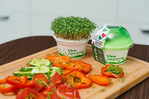 Купить Набор для выращивания Моя микрозелень - Кресс салат