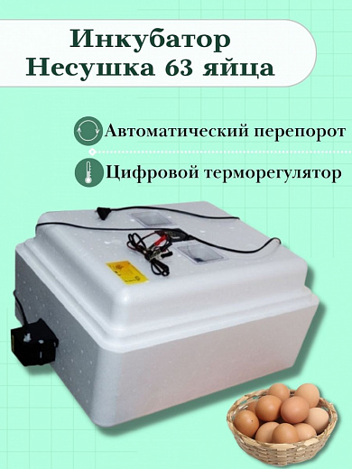Купить Инкубатор - Несушка, 63 яйца (U=220В/12B) авт. поворот, цифр ...