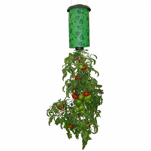 Купить Topsy Turvy - вертикальное выращивание помидоров