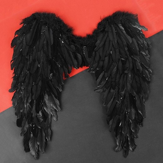 Купить Крылья ангела, 60х57, цвет чёрный