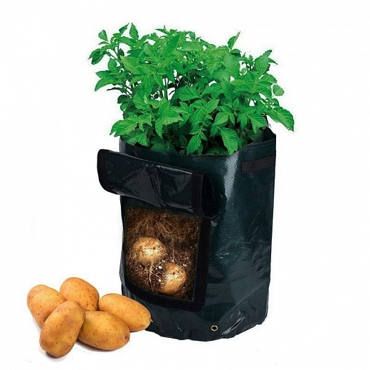 Купить Сумка для выращивания картофеля/овощей
