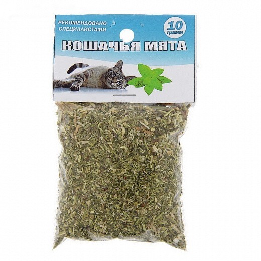 Купить Кошачья мята, 10 г