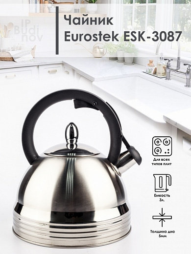 Купить Чайник из нержавеющей стали со свистком Eurostek ESK-3087 (3 л)