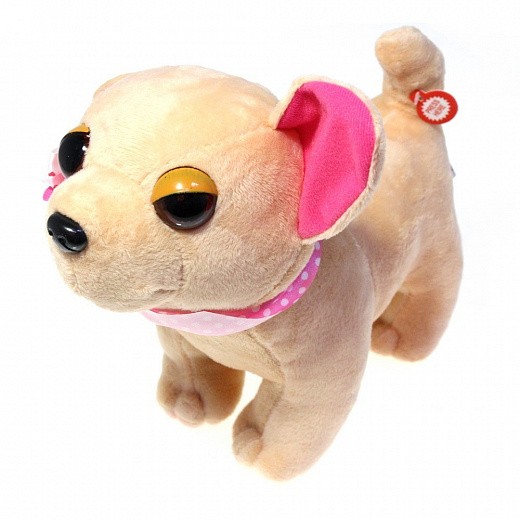 Купить Собачка в сумочке Chi Chi Love (Чичилав) - чихуахуа с цветным ошейником, розовая сумка