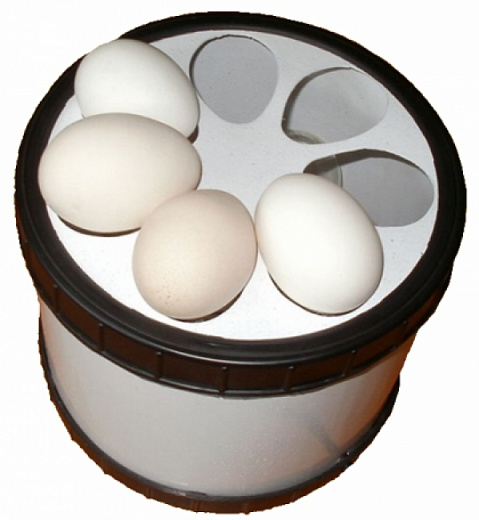 Купить Овоскоп ОВ-6 пластик (большой на 6 кур. яиц, 3 лампочки)