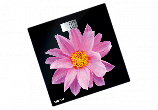 Купить Весы напольные Centek CT-2416 (Pink Flower) электронные 180кг, 0,1кг, LCD 45x28, размер 26х26см